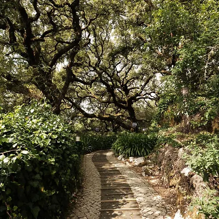 Casa Da Pia - Pia Do Urso Villa Casais de Sao Mamede