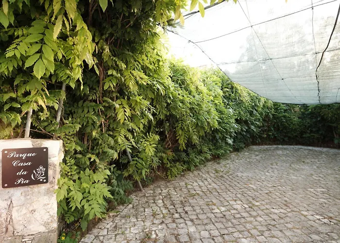 Casa Da Pia - Pia Do Urso *